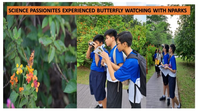 Students in blue uniforms watch butterflies outdoors, one using binoculars, beside colorful flowers on a park path.
